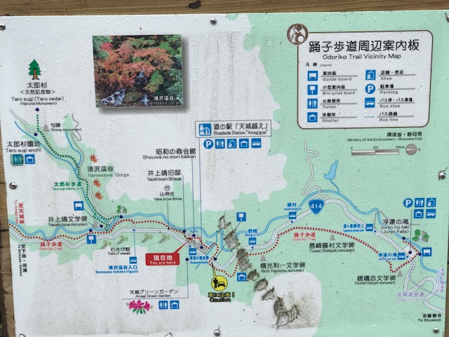 道の駅天城越え　昭和の森会館