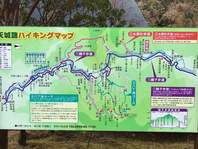 道の駅天城越え　昭和の森会館