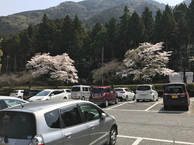 道の駅　天城越え