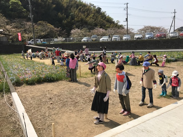 西伊豆松崎町花畑