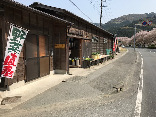 西伊豆松崎町花畑
