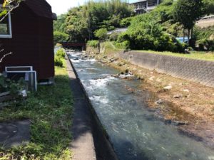 初夏の到来河津町佐野川筏場マス釣り大会