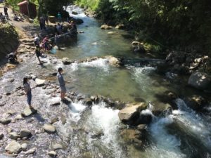初夏の到来河津町佐野川筏場マス釣り大会
