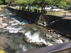 初夏の到来河津町佐野川筏場マス釣り大会