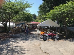 初夏の到来河津町佐野川筏場マス釣り大会
