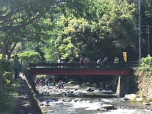 初夏の到来河津町佐野川筏場マス釣り大会