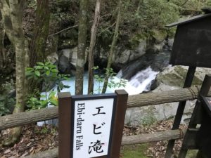 エビ滝
