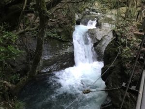 エビ滝