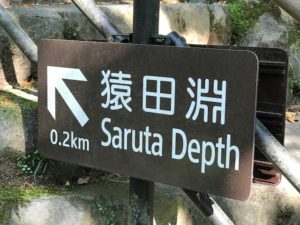 猿田淵