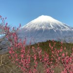 岩本山公園カフェ・梅・桜・あじさい・猫・遊具で家族も楽しめる。富士市民の憩いの公園