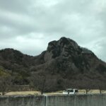 道の期　伊豆のへそ　おみやげなら絶対これ！いちごのバウムクーヘンとソテツの実で運気アップ！