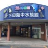 下田海中水族館どこよりもイルカに近づける