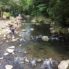 ゴールデンウィーク直前！河津町佐ケ野川筏場マス釣り大会はここがスゴイ