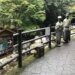 河津七滝　回り方で楽しく回ろう！遊歩道の回り方と用意する物　若いカップルにおススメ無料駐車場はループ橋下