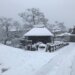 忍野八海　12月から3月の雪景色を冬車で楽しむ　 いつからか誰もいない降る雪は神が与えた奇跡のパワースポット